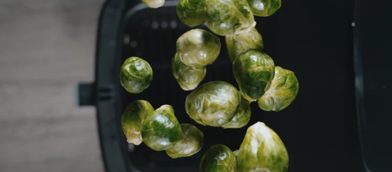 Vignette_EasyFry_3en1